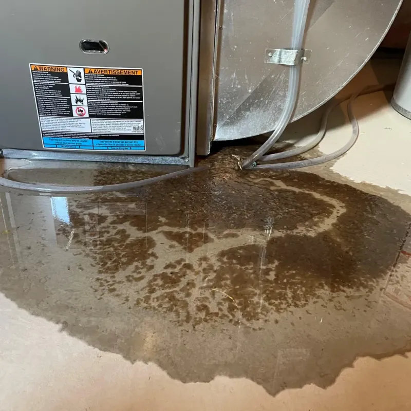 Appliance Leak Cleanup in Johnson County, KY